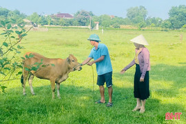 Mô hình sinh kế - động lực vươn lên thoát nghèo ở Thạch Hà