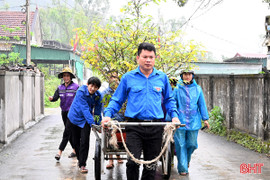 Gom cây cảnh người dân không còn dùng sau Tết về phục vụ cộng đồng