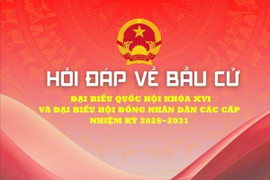 Bao giờ có kết quả bầu cử ĐBQH và HĐND các cấp?