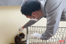 Những "y, bác sỹ đặc biệt" giữa đại ngàn Trường Sơn