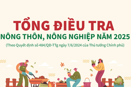 Hà Tĩnh triển khai thu thập thông tin Tổng điều tra nông thôn, nông nghiệp 2025