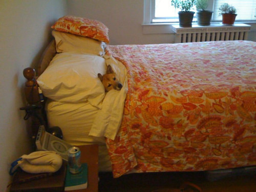 cuoi te ghe co xe tay ga khong ma doi tan gai