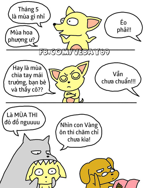 cuoi te ghe co xe tay ga khong ma doi tan gai