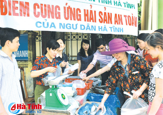 40 lo hai san duoc cap chung nhan an toan thuc pham
