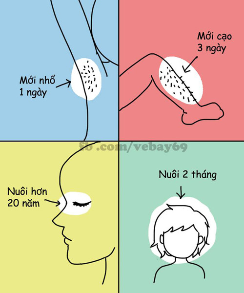 cuoi te ghe co xe tay ga khong ma doi tan gai