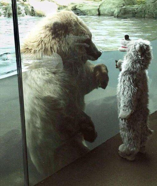 cuoi te ghe co xe tay ga khong ma doi tan gai