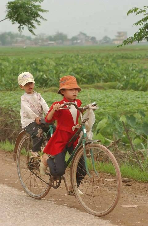 cuoi te ghe co xe tay ga khong ma doi tan gai