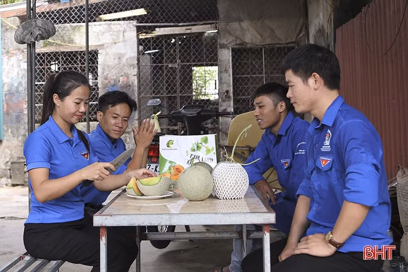 Thanh niên Nghi Xuân sôi nổi với phong trào khởi nghiệp, làm giàu trên quê hương