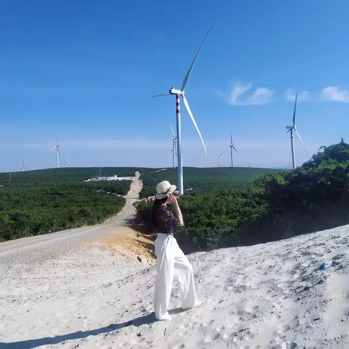 “Săn” ảnh đẹp ở 5 cánh đồng quạt gió nổi tiếng Việt Nam
