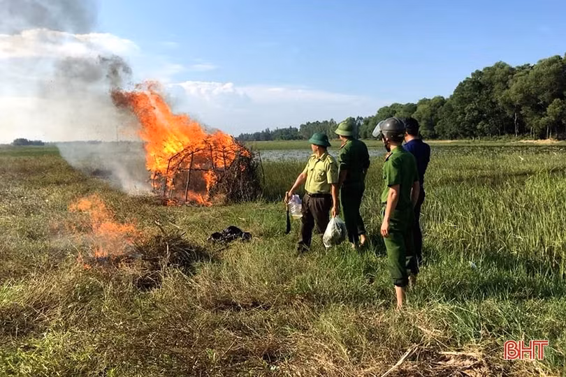 Mưa xuống, “chim trời” lại được bày bán công khai ở Cẩm Xuyên