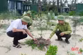 Hà Tĩnh triển khai chương trình hành động quốc gia chống sa mạc hóa
