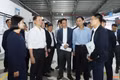 Chủ tịch UBND tỉnh kiểm tra hoạt động đầu tư tại một số khu, cụm công nghiệp