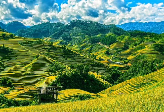 bao anh chon viet nam la noi hop nhat de du lich mot minh