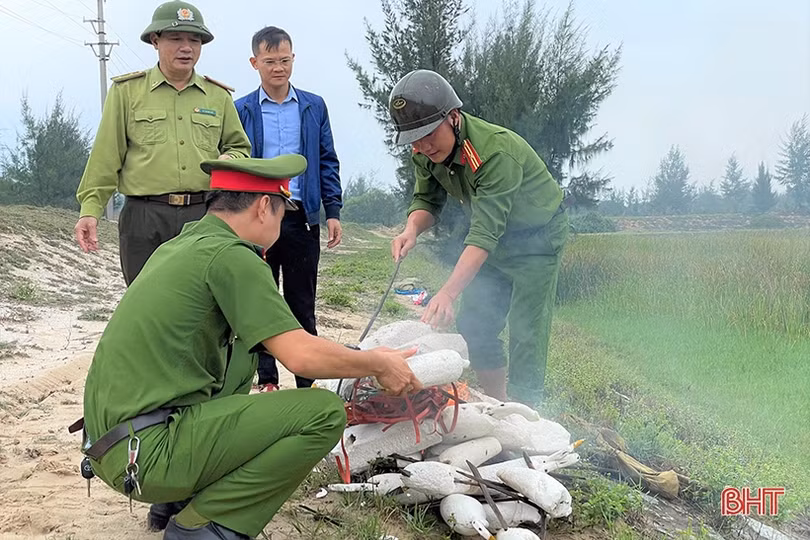 Thạch Hà thu giữ 2.665 chim mồi giả