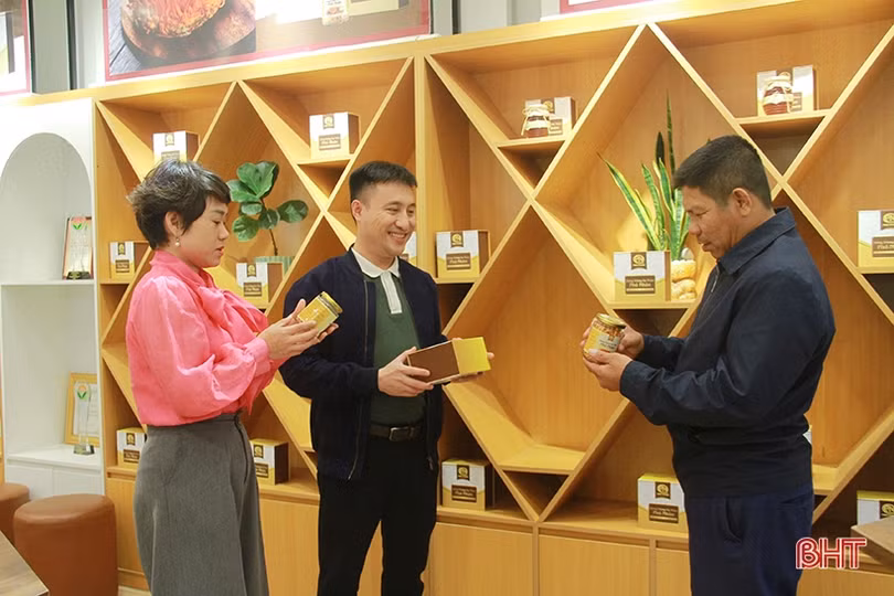 Nhiều mô hình kinh tế hiệu quả của thanh niên Nghi Xuân