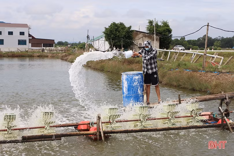 Người nuôi trồng thủy sản ở Hà Tĩnh gia cố ao nuôi ứng phó bão số 5