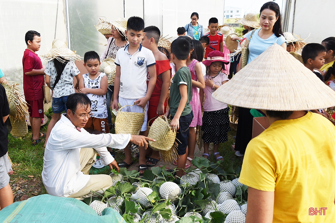 Trải nghiệm hè, bé “đổ bộ” mô hình trồng dưa lưới