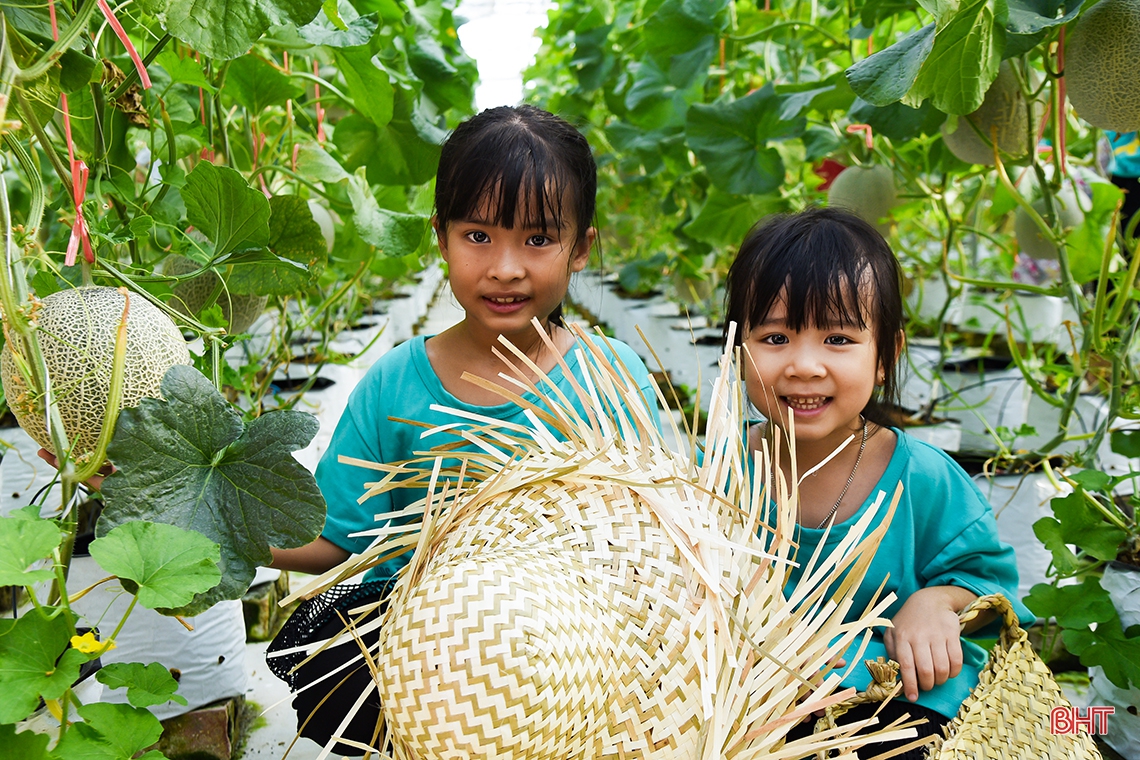Trải nghiệm hè, bé “đổ bộ” mô hình trồng dưa lưới