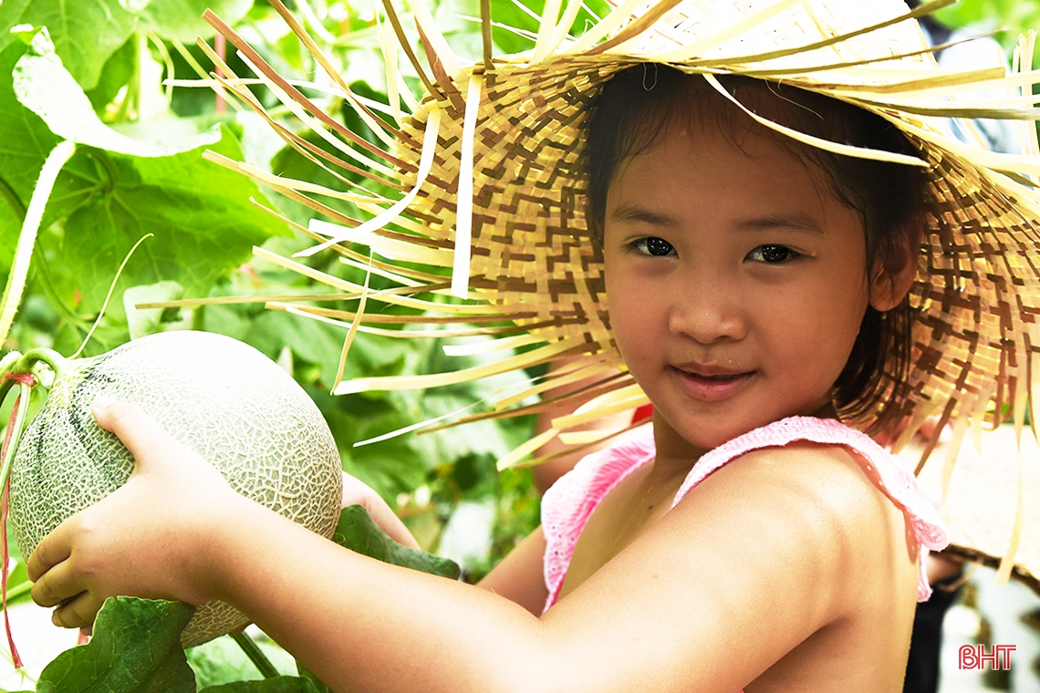 Trải nghiệm hè, bé “đổ bộ” mô hình trồng dưa lưới