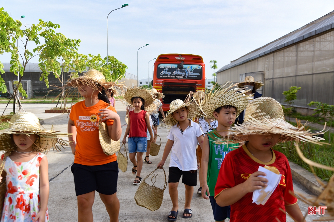 Trải nghiệm hè, bé “đổ bộ” mô hình trồng dưa lưới