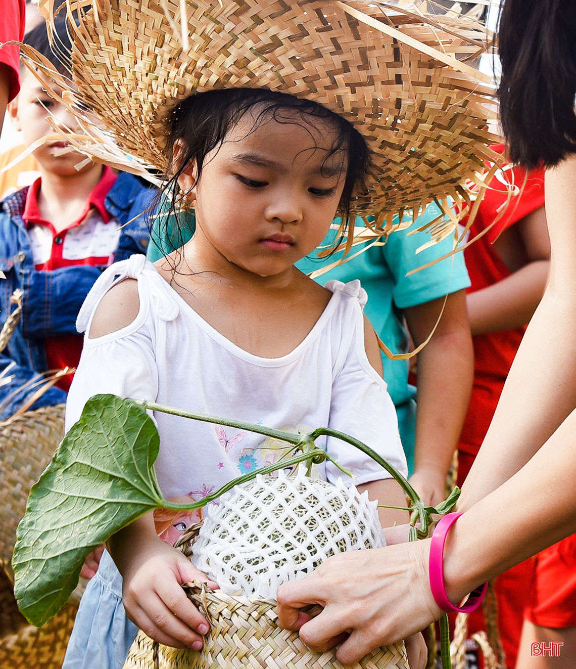 Trải nghiệm hè, bé “đổ bộ” mô hình trồng dưa lưới
