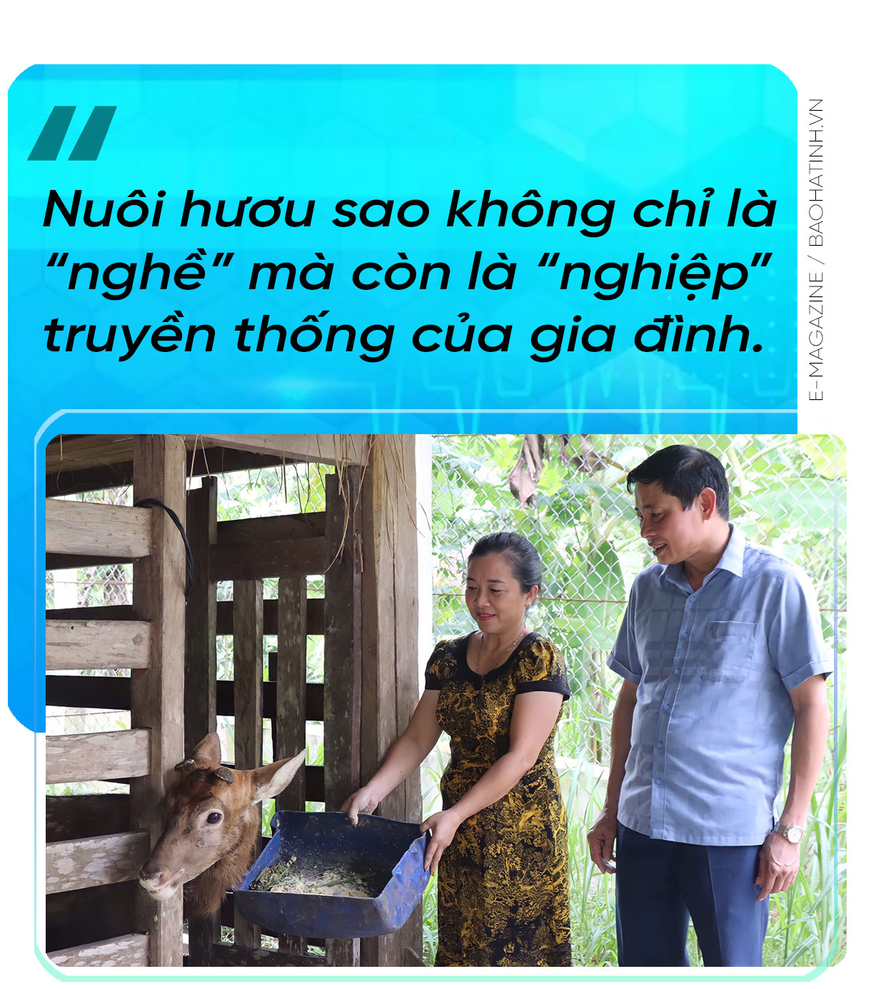 Chuyện “Nông dân Việt Nam xuất sắc” làm giàu từ hươu sao ở Hà Tĩnh