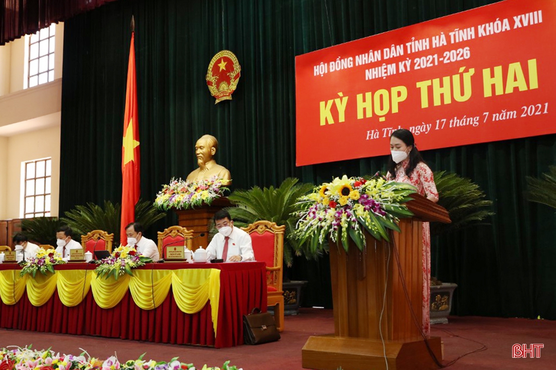 Đại biểu HĐND tỉnh Hà Tĩnh thảo luận nhiệm vụ phát triển kinh tế - xã hội