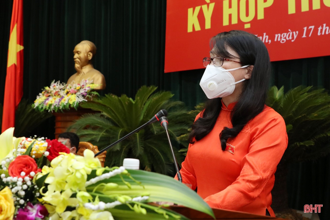 Đại biểu HĐND tỉnh Hà Tĩnh thảo luận nhiệm vụ phát triển kinh tế - xã hội