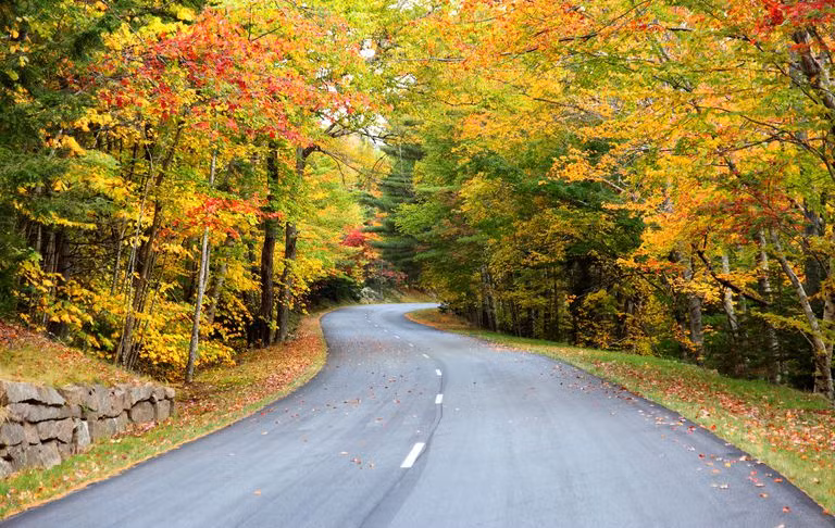 Du khách nườm nượp kéo đến đây để ngắm mùa cây thay lá đẹp nhất cả năm