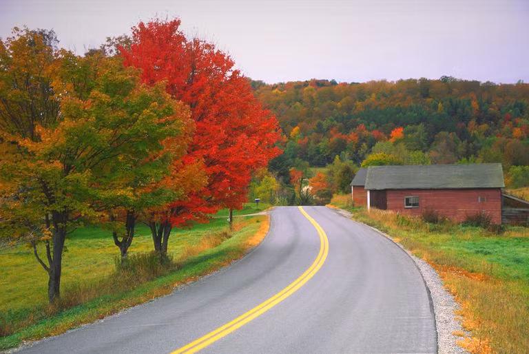 Du khách nườm nượp kéo đến đây để ngắm mùa cây thay lá đẹp nhất cả năm