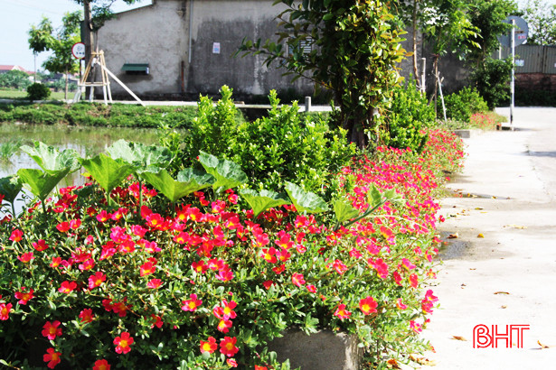 Rực rỡ sắc màu những đường hoa ở xã ven biển Nghi Xuân