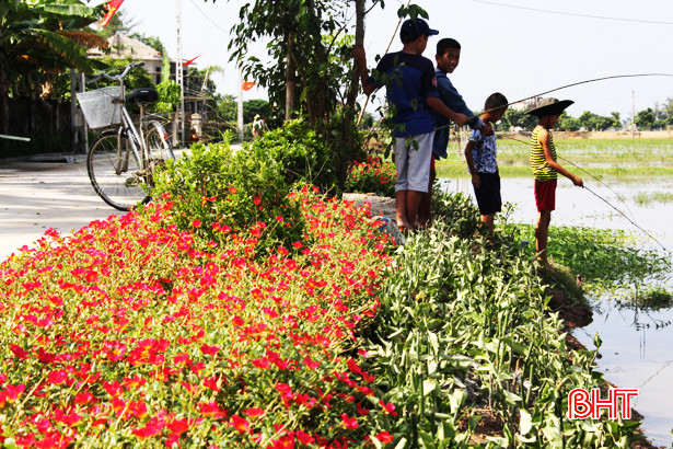 Rực rỡ sắc màu những đường hoa ở xã ven biển Nghi Xuân