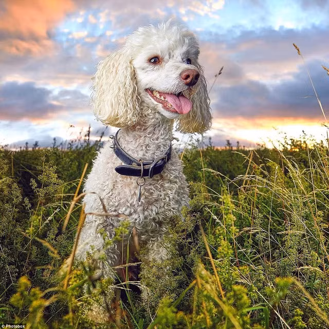 Lộ diện những bức ảnh đẹp nhất trong cuộc thi ảnh Instagram của châu Âu