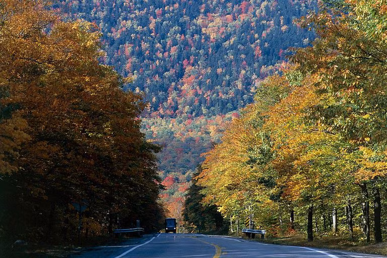 Du khách nườm nượp kéo đến đây để ngắm mùa cây thay lá đẹp nhất cả năm