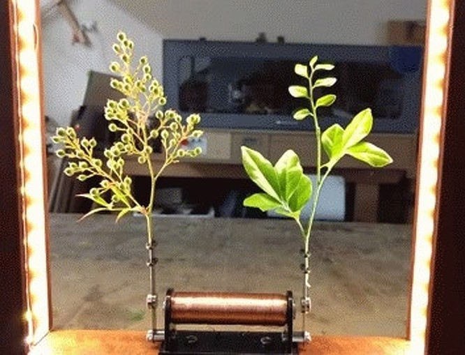 13 công nghệ tuyệt vời đến từ tương lai có thể bạn chưa biết