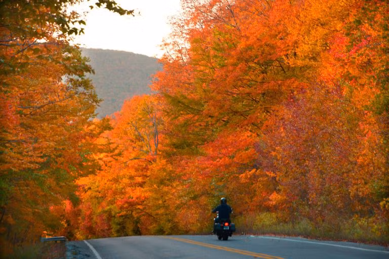 Du khách nườm nượp kéo đến đây để ngắm mùa cây thay lá đẹp nhất cả năm