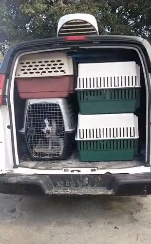 Siêu bão Florence sắp đổ bộ, dân Mỹ hoảng loạn sơ tán