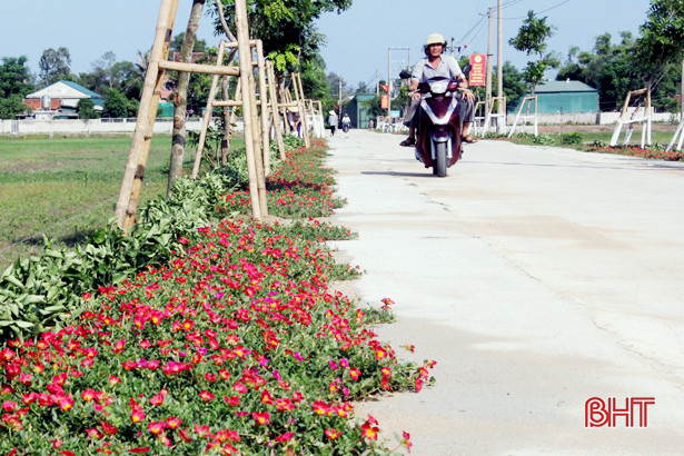 Rực rỡ sắc màu những đường hoa ở xã ven biển Nghi Xuân