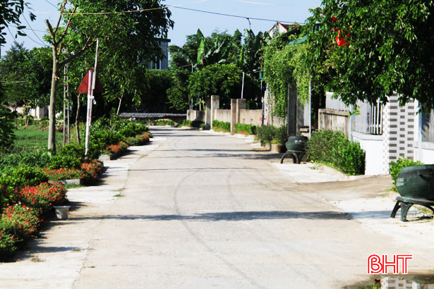 Rực rỡ sắc màu những đường hoa ở xã ven biển Nghi Xuân