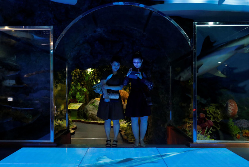 Khám phá bảo tàng lịch sử tự nhiên ở “quốc gia bí ẩn nhất thế giới”