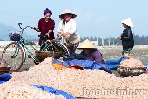 Ngư dân Hà Tĩnh trúng đậm "lộc biển" đầu xuân ảnh 1