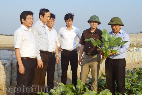 Tháo gỡ vướng mắc trong thi công để thả cá mú, cá bơn ảnh 3