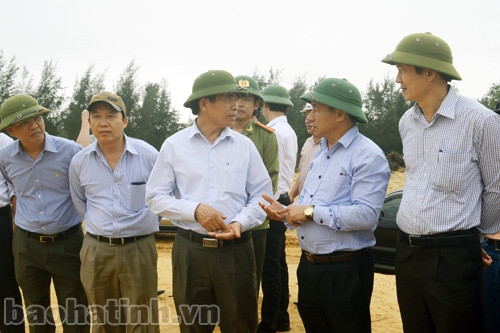 Tháo gỡ vướng mắc trong thi công để thả cá mú, cá bơn ảnh 1