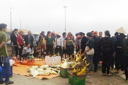 Mỗi kg cá két hiếm gặp này bán với giá 130 ngàn đồng