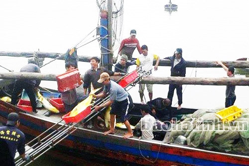 Trúng đậm cá két, thu gần 400 triệu đồng sau ít giờ đi biển ảnh 1