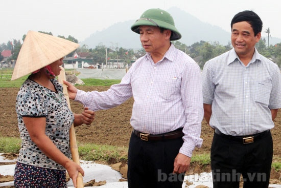 Đẩy nhanh sản xuất, chú trọng phòng trừ sâu bệnh cho cây trồng ảnh 3
