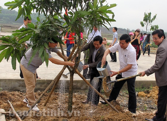 Các địa phương phát động Tết trồng cây đầu xuân ảnh 9
