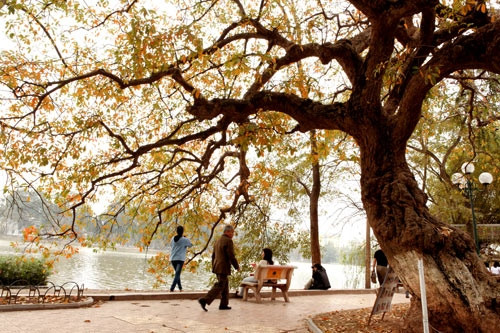 Bắc Bộ sẽ nóng như mùa hè đến hết 28/2 ảnh 1