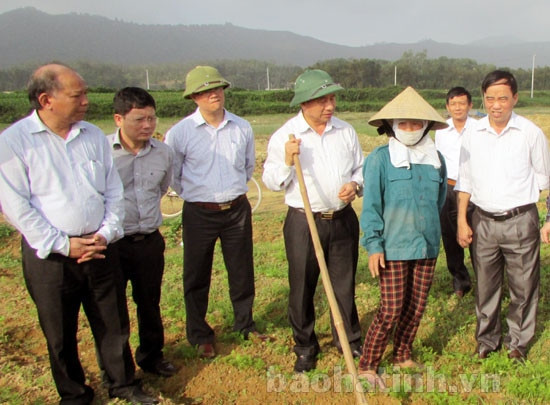 Phó Chủ tịch UBND tỉnh Lê Đình Sơn kiểm tra sản xuất tại Vũ Quang ảnh 1