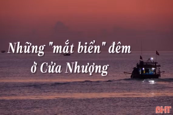 Những "mắt biển" đêm ở Cửa Nhượng